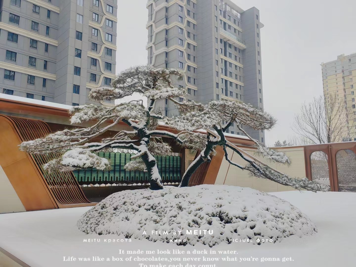 星空体育官网：多图集锦！初雪 北京各售楼处晒美景(图15)